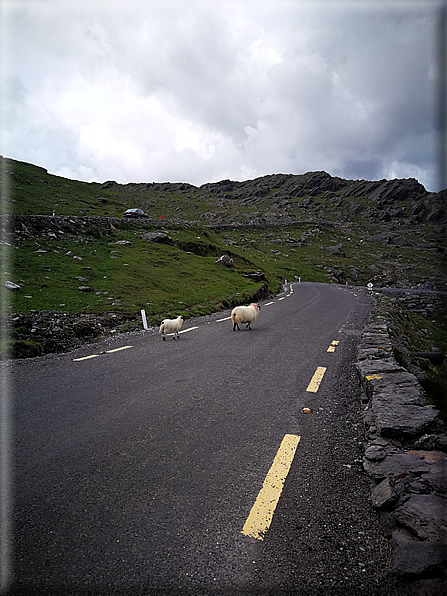 foto Parco di Killarney